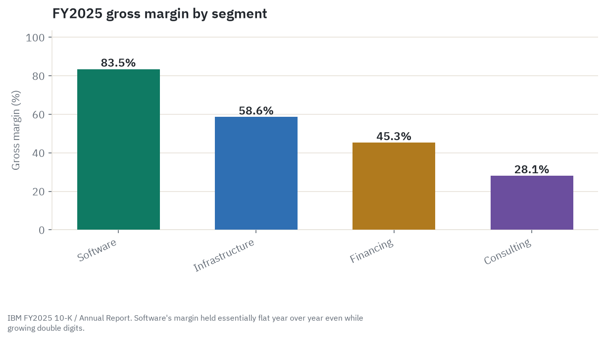 FY2025 gross margin by segment: Software 83.5%, Infrastructure 58.6%, Financing 45.3%, Consulting 28.1%