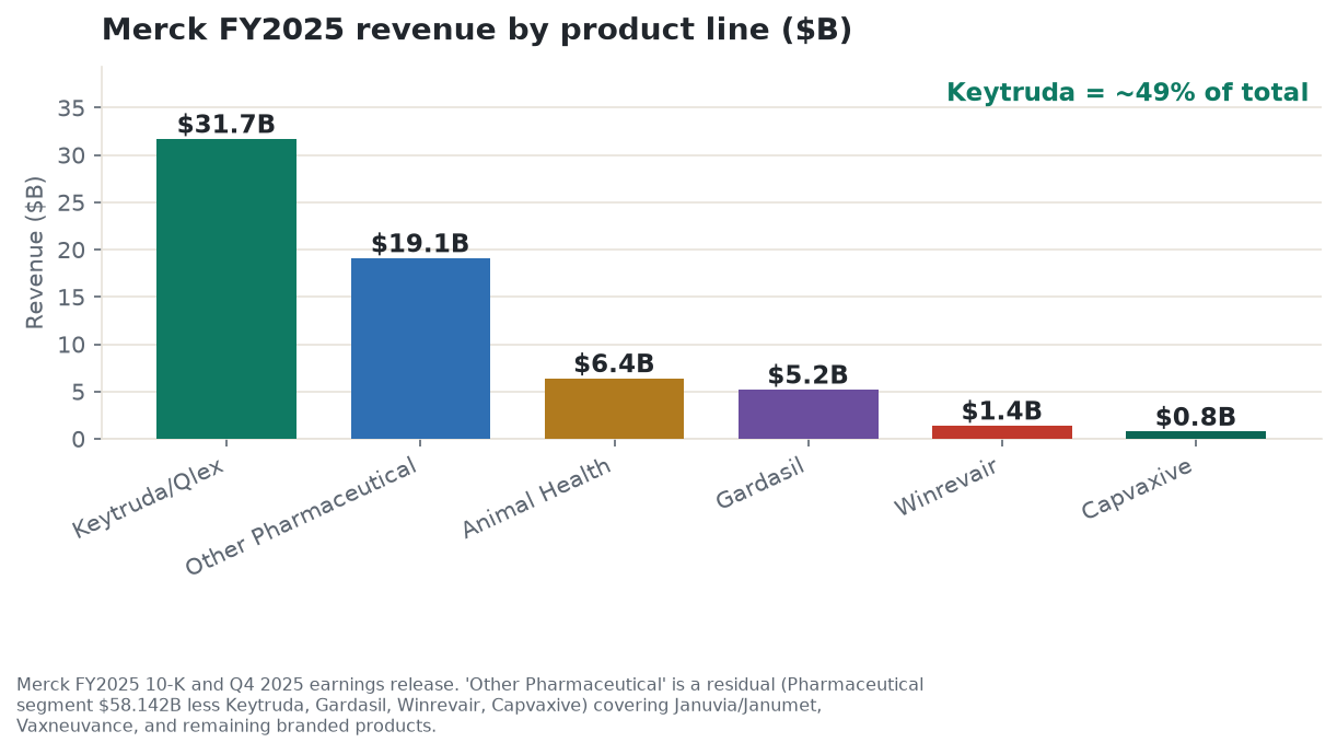 Merck FY2025 revenue by product line, showing Keytruda at roughly 49 percent of total company revenue against every other product line combined