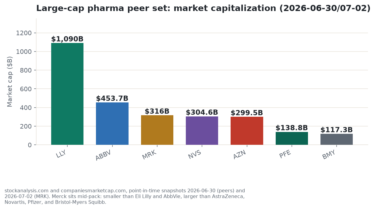Merck's market capitalization against Eli Lilly, AbbVie, Novartis, AstraZeneca, Pfizer, and Bristol-Myers Squibb, showing Merck sitting mid-pack in size